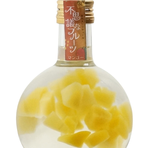 不思議なフルーツ マンゴー ”mango”