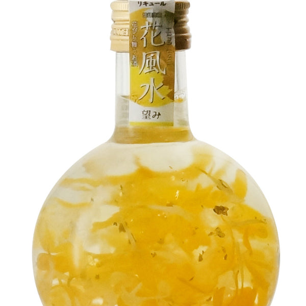 花風水 望み ”hanafusui-nozomi”