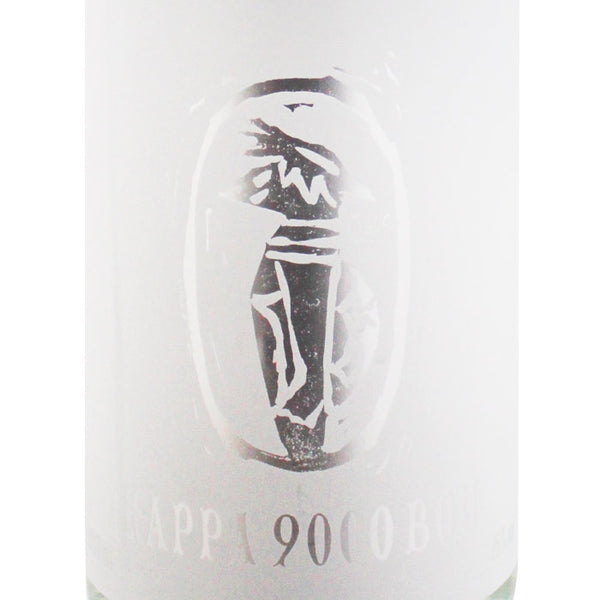 河童九千坊 ふくおかのこめ 米焼酎 720ml・1800ml | 紅乙女酒造 | 酒匠さんそう